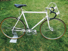 raleigh reynolds 531